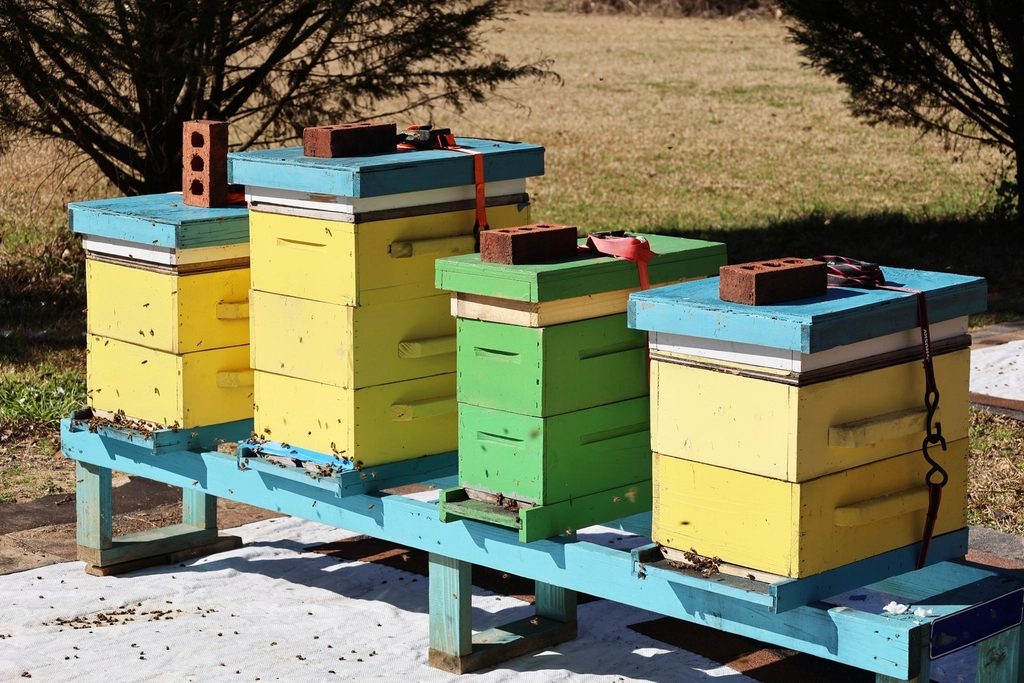 For the bee